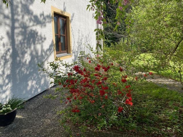 Ferienwohnungen Hanke Barbara Piding Buitenkant foto